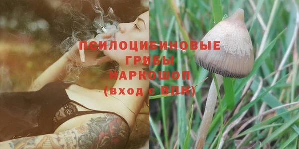 стаф Иннополис