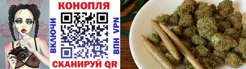 Бошки марихуана MAZAR  Купить  Новотитаровская 